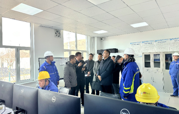 青海省生態(tài)環(huán)境廳黨組書記、廳長湯宛峰調(diào)研麥王項目